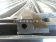 I prodotti di gomma gate elasticità del dispositivo di tenuta idraulica la buona e resistenti alla corrosione modellati